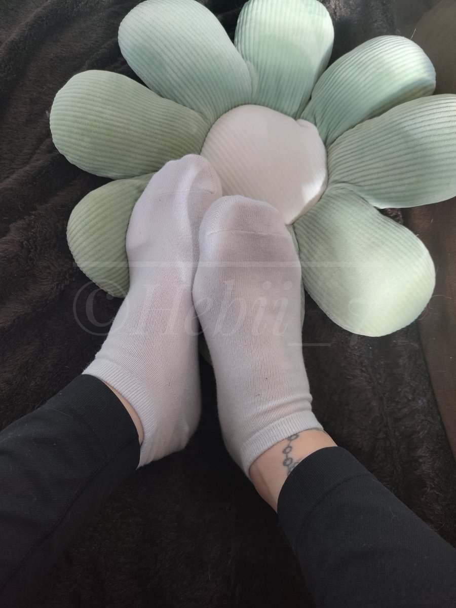 Happy sunday to everyone 🧦 May your day be sunny 🌞
#feet #feetpics #bigfeet #soles #feetpicsforsale #socks #feetcontent #feetpictures #smellysocks #findom @g_dfeet @sockfreakmeeks @rt_feet @FootParadiseRT @AiFetishArtist
