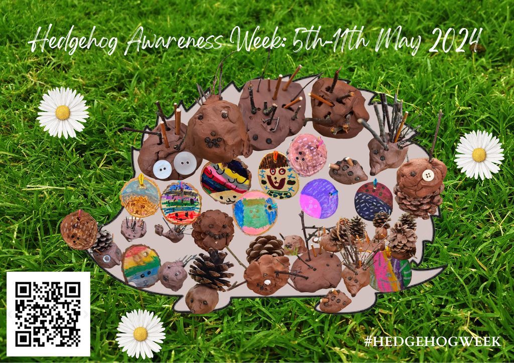So #HedgehogWeek is here! @hedgehogsociety have a full week of competitions, information, and fun - keep an eye out for more #hedgehog posts ...