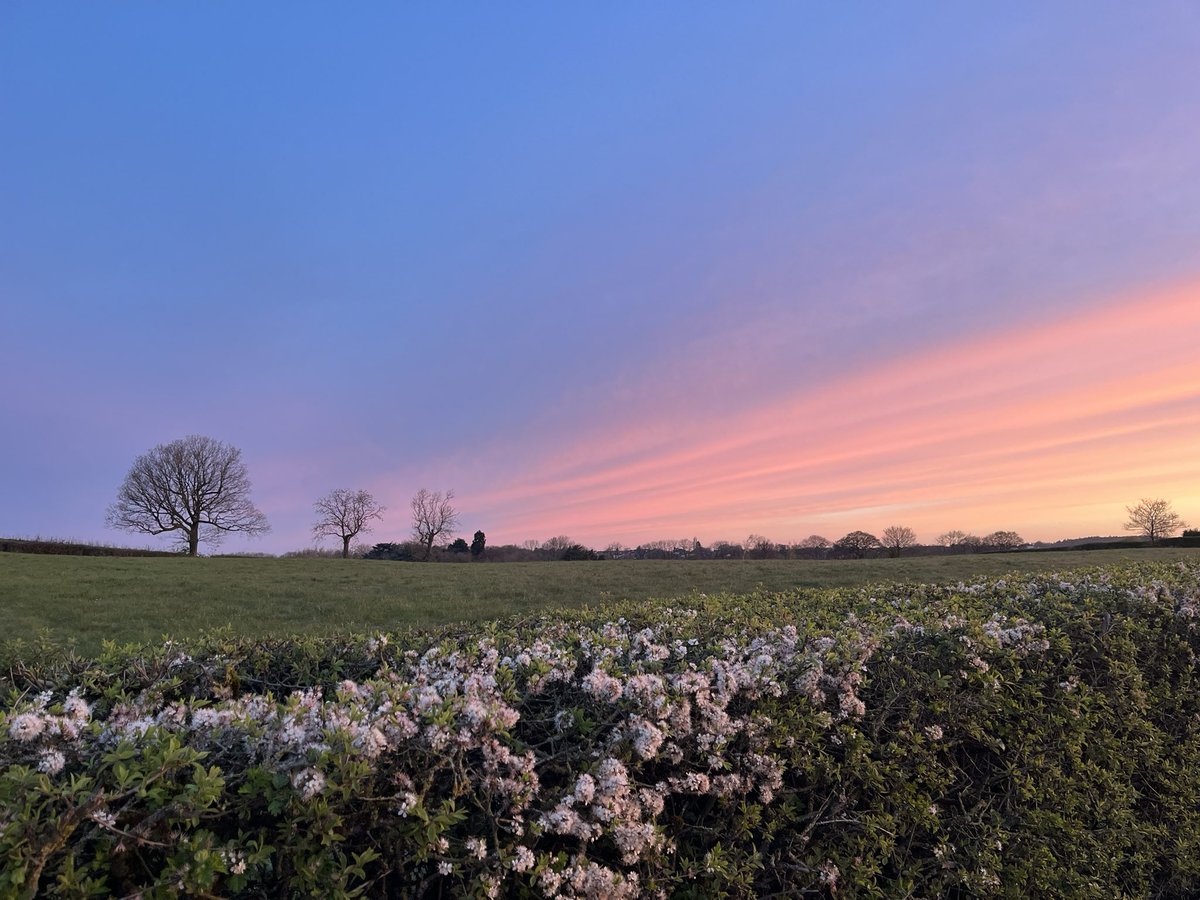 “Ever shall in safety rest, And the owner of it blest. Trip away; Make no stay; Meet me all by break of day.” #AMidsummerNightsDream #ShakespeareSunday Taken on a recent #MorningWalk