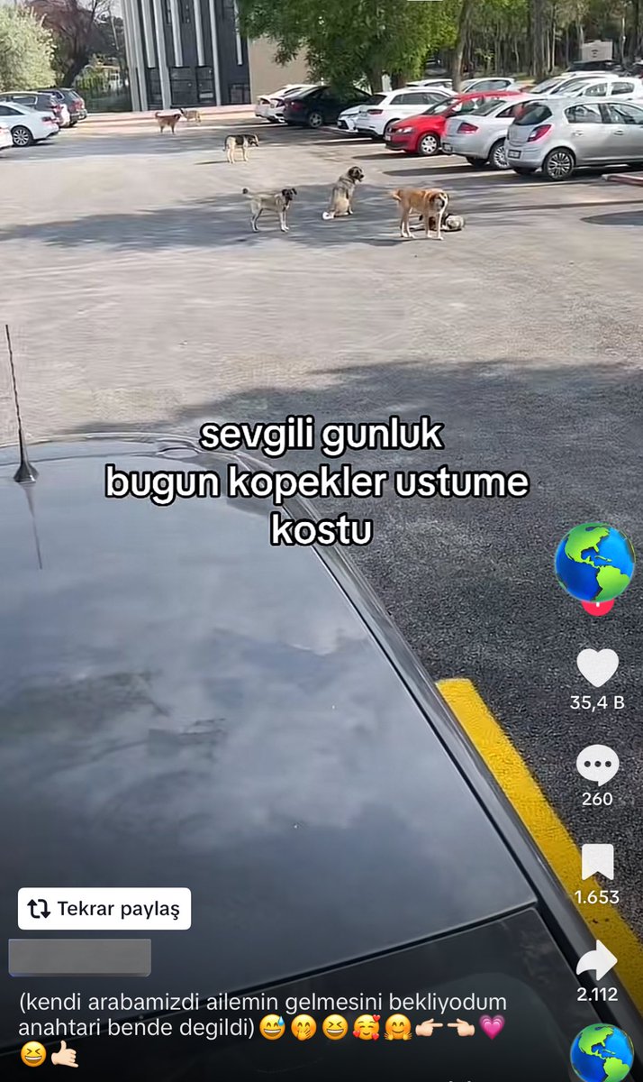 Kız kendi arabalarının üstüne çıkmış,ailesinin gelmesini bekliyor