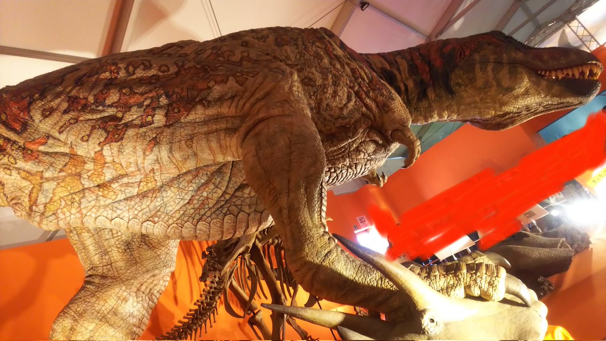 恐竜を足下から見上げるロマン

恐竜のボリューム、存在の圧を感じられるのは復元展示の醍醐味だなと思うオダイバ恐竜博覧会2024