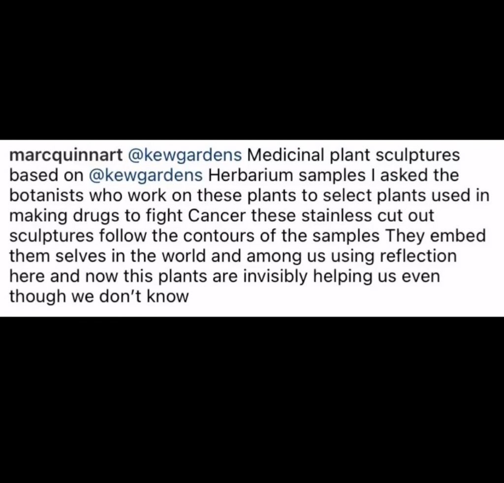 Marc Quinn’s compelling & powerful link between #herbarium specimens & cures for cancer is stunning. 🍃 Help us save #KewHerbarium from cultural vandalism. Sign our petition to stop DEFRA relocate Kew Herbarium away from its purpose built building. 🔗 pinned. #marcquinn #heritage