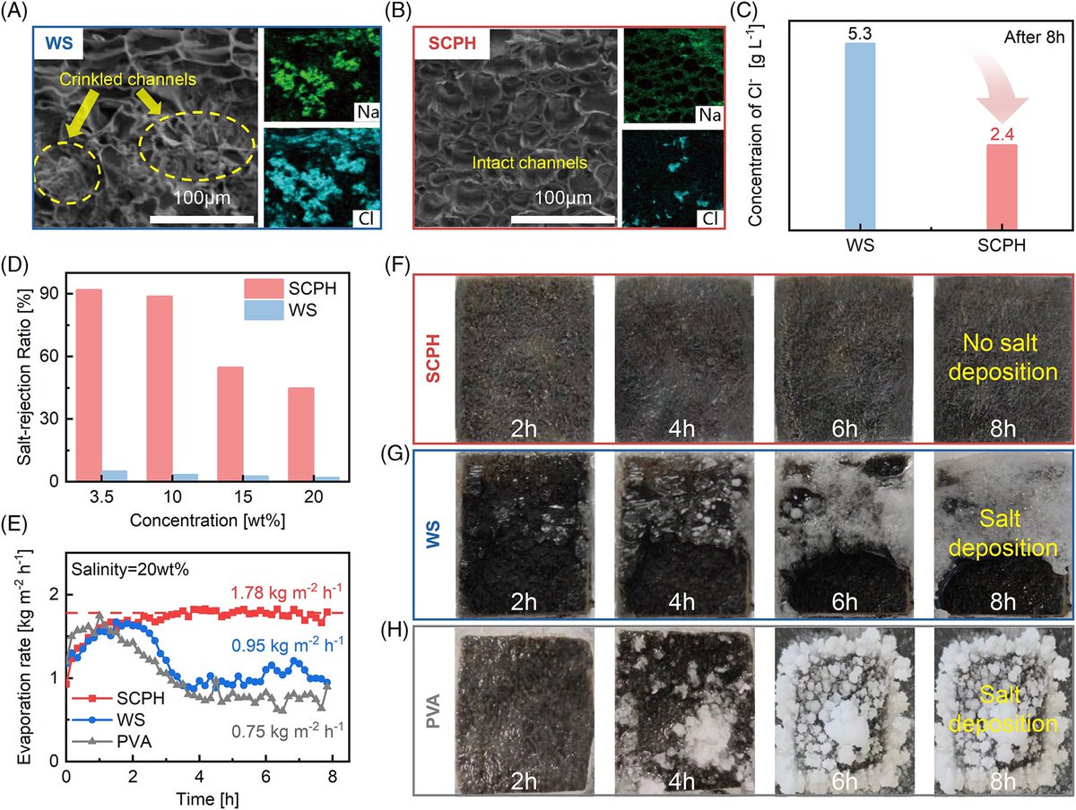 Strong tough hydrogel solar evaporator with wood skeleton construction enabling ultra-durable brine desalination @EcoMat2019 #MaterialScience #hydrogel #Science #Technology #brinedesalination #solarevaporator onlinelibrary.wiley.com/doi/10.1002/eo…