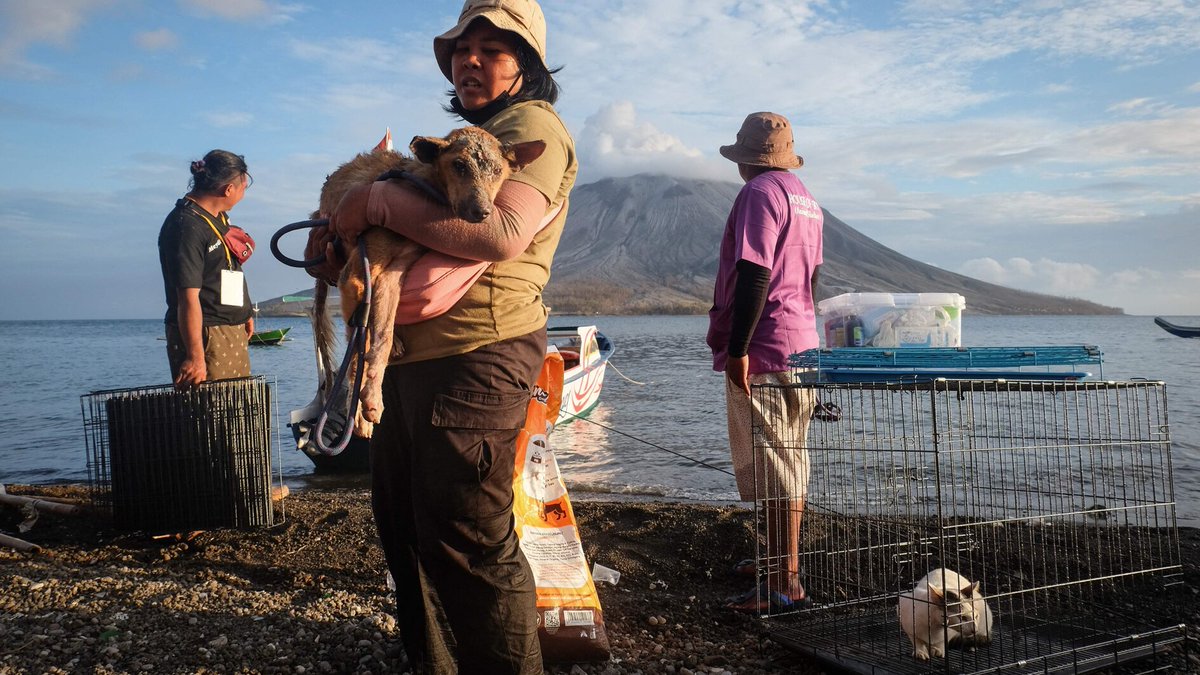Rescuers brave Indonesia volcano eruptions to save pets hry.yt/Wlsbe