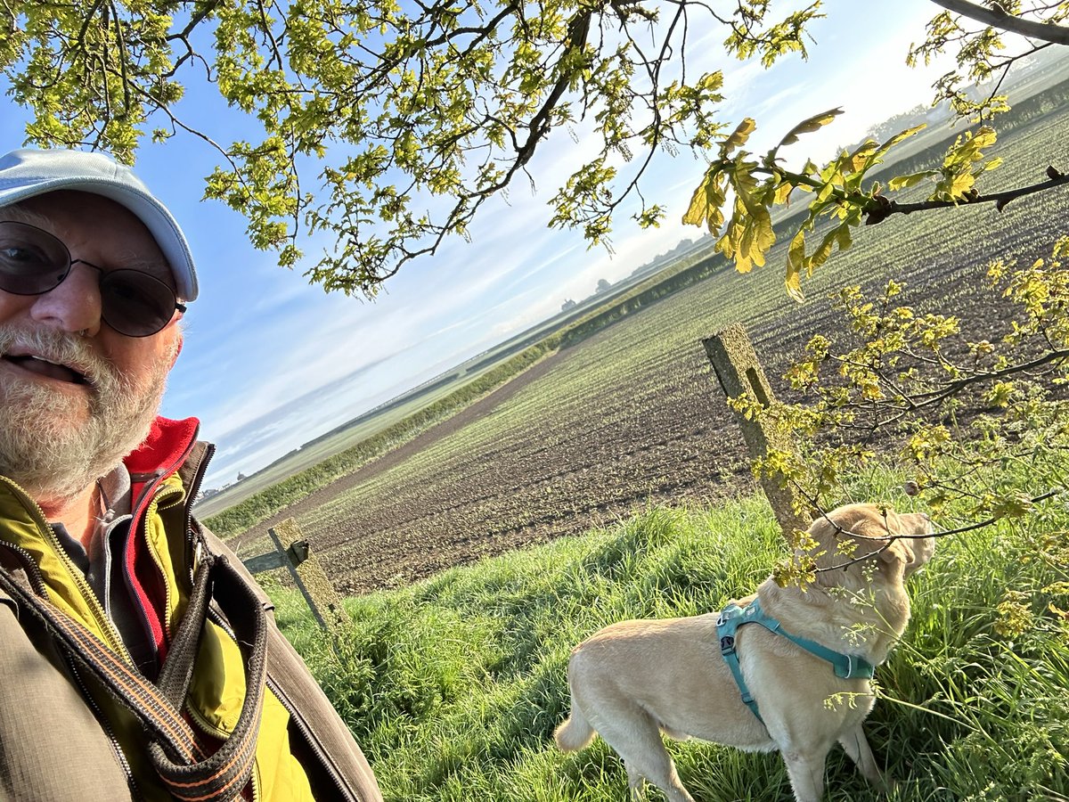 Good morning, it’s a beautiful start to the day here in West Notts! #firstbirdofmyday a Song Thrush @WriterHannahBT #LifewithRex