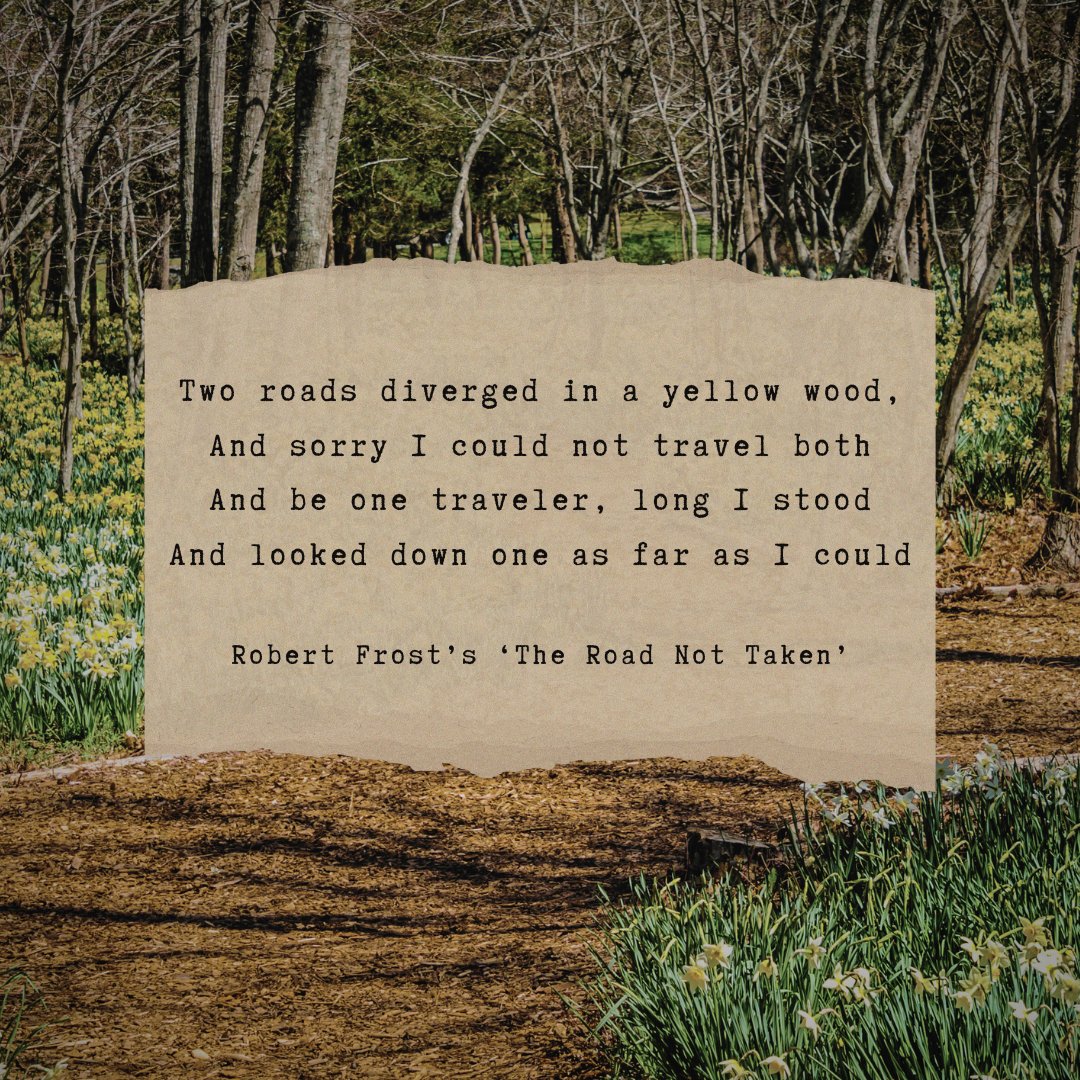 Robert Frost’s ‘The Road Not Taken’ explores life’s choices, opportunities, and the ensuing lingering regret of untaken paths. Excited to learn more poems from Robert Frost? Follow us and visit our website. 💻 poemanalysis.com/robert-frost/p… #author #poems #analysis #choices #poem