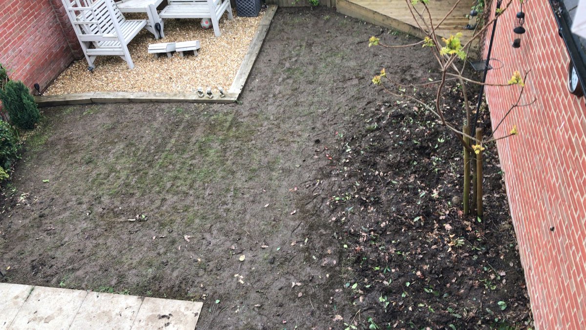 Yesterday’s work, eldest scarified the lawn area (which was mostly moss) then I dug out 10 bushes & plants. Scarify it again Monday before we level the ground up prior to laying sheeting #gardenproject