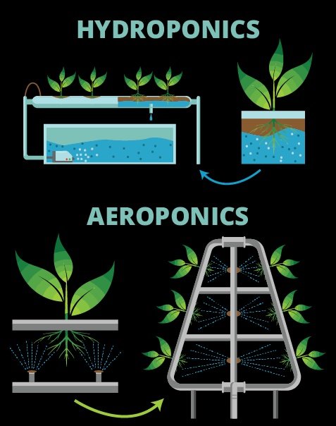 📚Aeroponics farming: It is a type of hydroponics in which the roots are suspended in the air and the plants grow in a humid environment without soil. This technology enables farmers to control humidity, temperature, pH levels and water conductivity inside the greenhouse.
✏️…