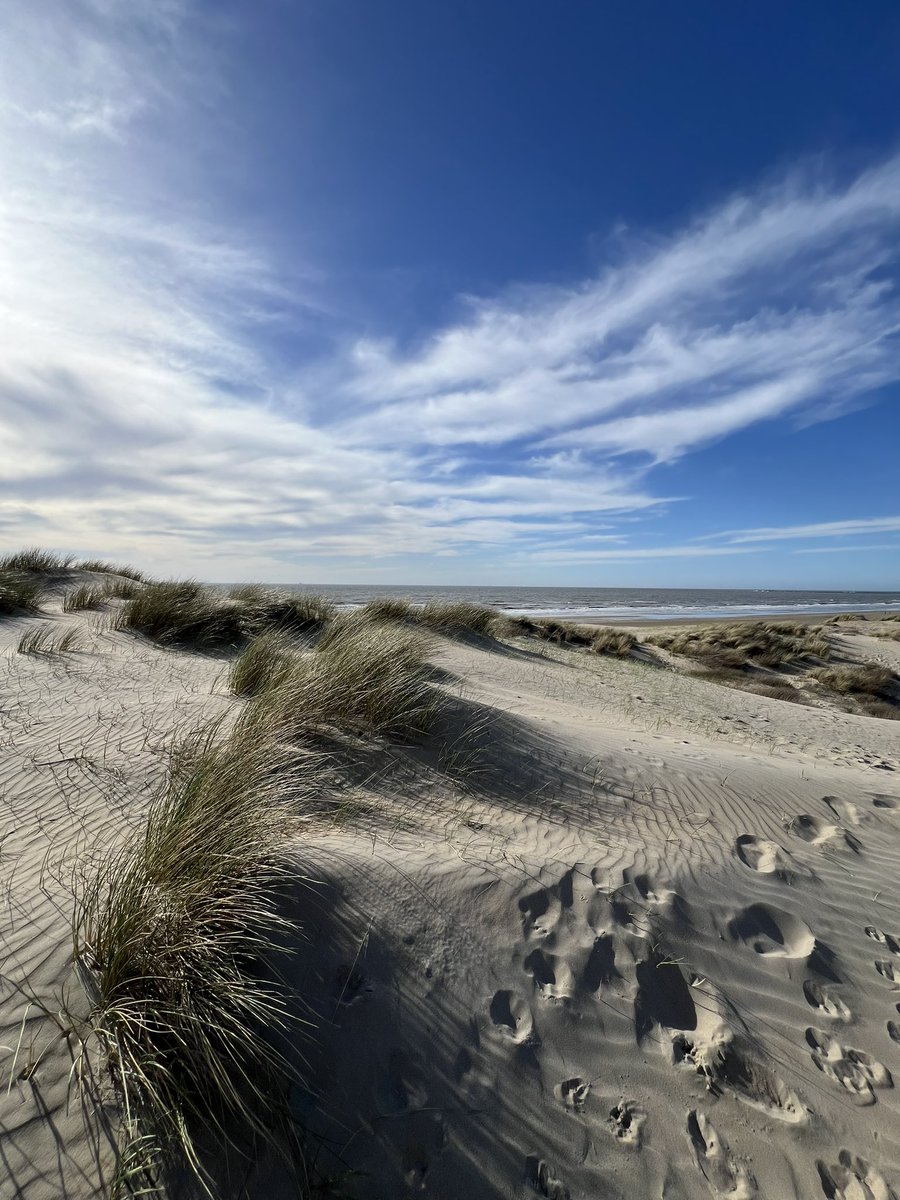 High pace? Dunes can slow you down.😊
It’s the realm of sand and hard wind. It’s a wild, unpredictable as well as peaceful and protective place. Somewhere you might dig out the ‘truth’.
#dunes #photograghy #walking #netherlands #beachday #inspiration