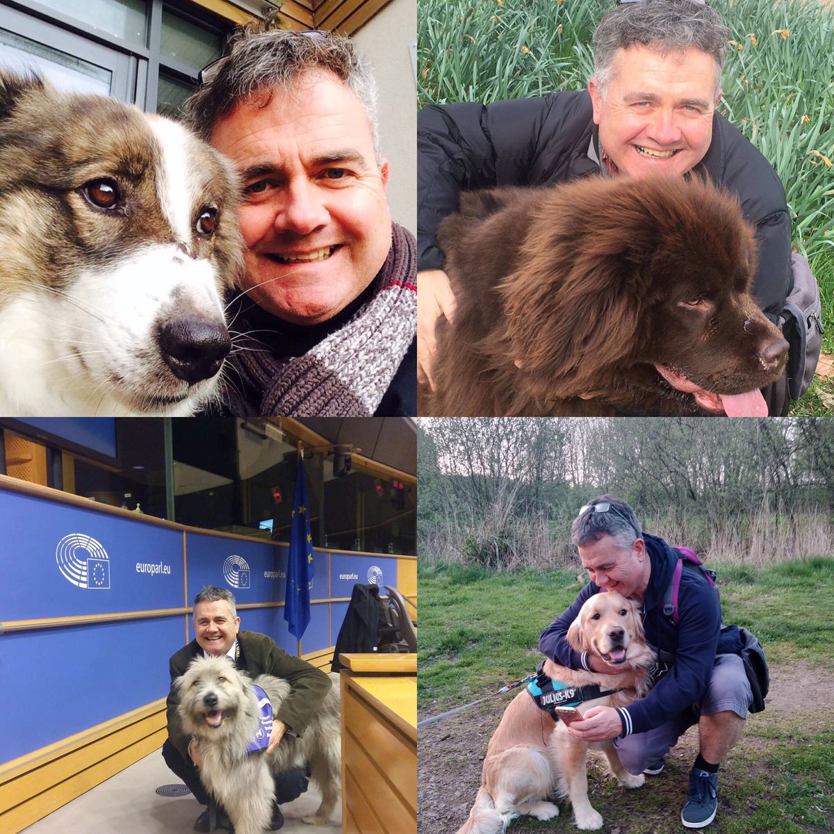 I talk to the founder of @wunderdog_mag about why I think all Parliamentary Candidates should get behind a dog welfare manifesto at next election. Well worth a listen @scanme_tukslaw @DogsTrust @Battersea_ @RSPCA_official @LibDems 

shows.acast.com/the-dog-manife…