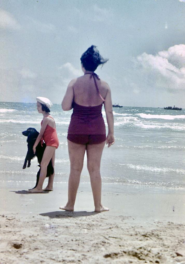 En Cataluña ROSARIO DE VELASCO conoce el mar, y la luz y la vibración cromática del Mediterráneo transformarán su obra. 

A partir del 18 de junio y hasta el 15 de septiembre, la obra de mi tía abuela en @MuseoThyssen. 

¡Conseguí cumplir mi sueño!