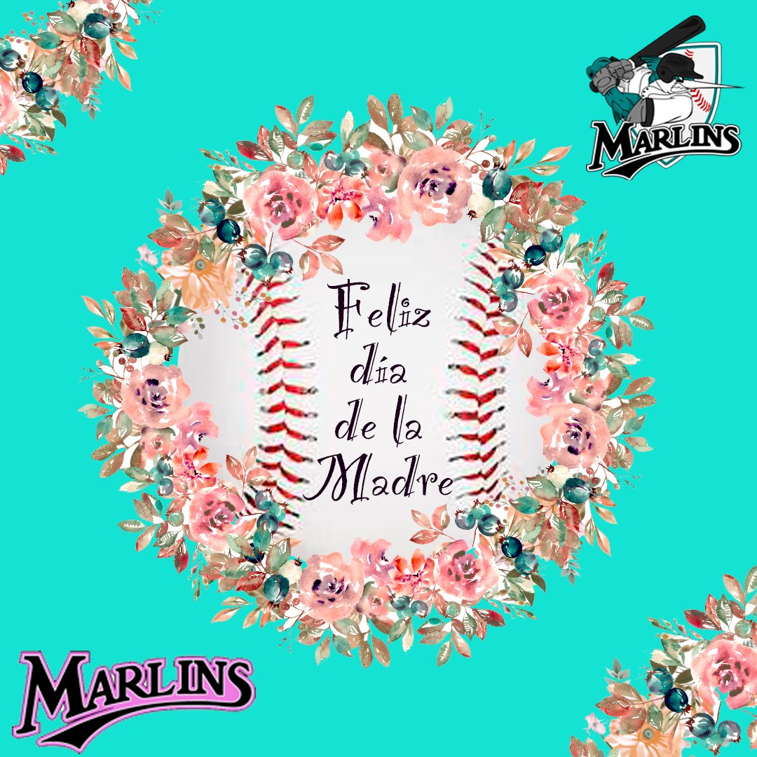 Hoy es un día especial para todos !!!!!