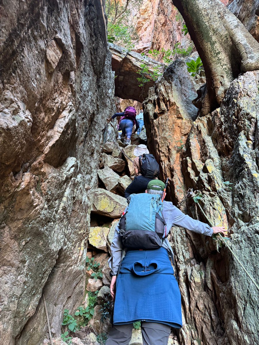 In preparation to summit Mount Kilimanjaro in Tanzania during the 2024 WhyAfrica Road Trip in August, we have been probing the hills, climbing the cliffs, and scampering down ravines of the ancient Magaliesberg mountain range #whyafricaroadtrips #whyafrica