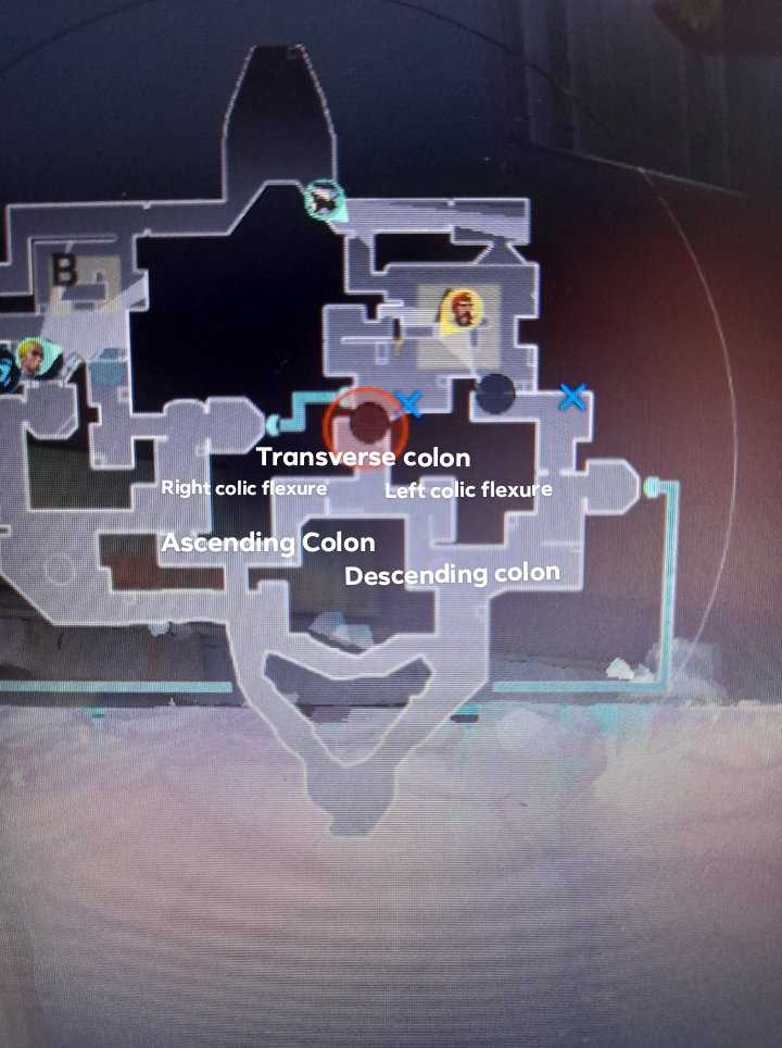 rion 🧸🤍 tweet media