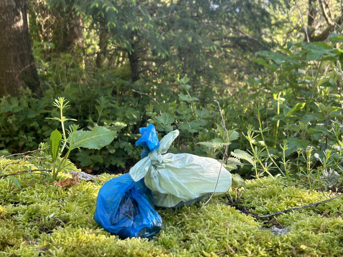 Please remember to take home your dog poo bag and leave NO trace. #litter #responsible #dogowners