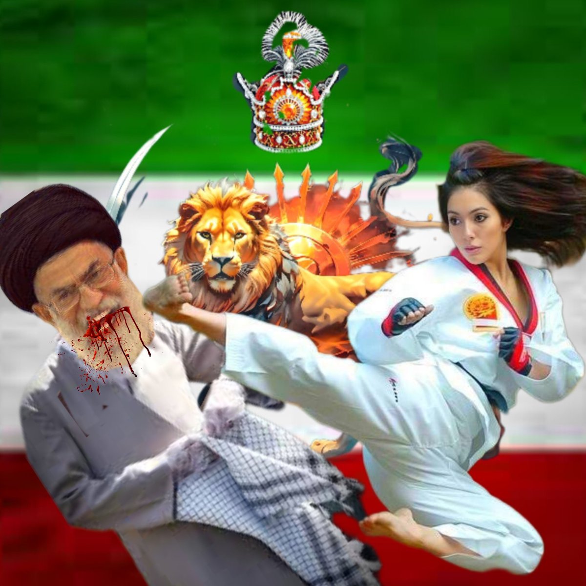 ضربه ی نهایی 💯 #نور_بر_تاریکی_پیروز_است #KingRezaPahlavi‌