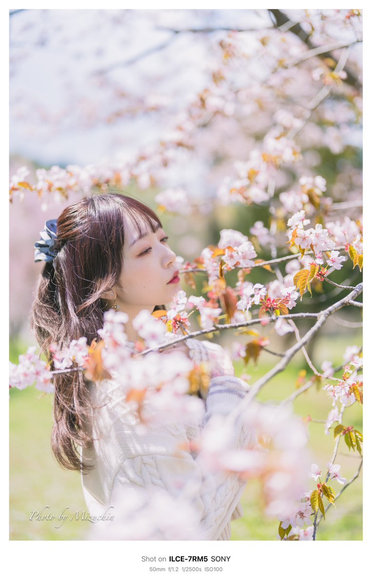2024年05月03日撮影③

モデル yurieさん

#桜ポートレート
#みずちんフォト
#アルファホビー部