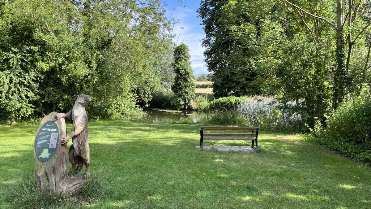 A walk along the river, getting up close to nature or simply enjoying the quieter side of life. Whatever you fancy this Sunday, Clare Castle Country Park is just the place for you.