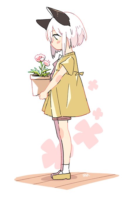 「植木 ソロ」のTwitter画像/イラスト(新着)