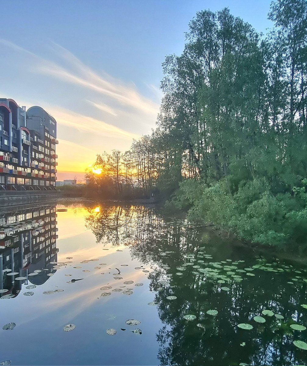 Dawn chours day @greenwicheco. Highlights 25+ Common Terns, Blackcap, Garden Warbler, Cettis Warblet & Chiffchaff. #londonbirds @LondonBirdClub @EGRA_London @CommonTerns @WordsFromWez @GreenGreenwich @Royal_Greenwich