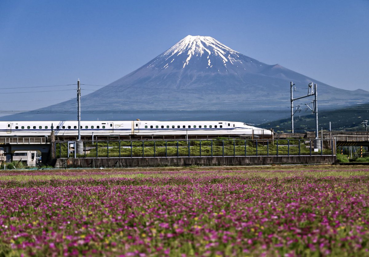たまには富士山を反対側から!!
茶摘みも始まりレンゲも刈り取りするそうでナイスタイミングでした✿.*・
静岡県富士市   2024.5.5🎏