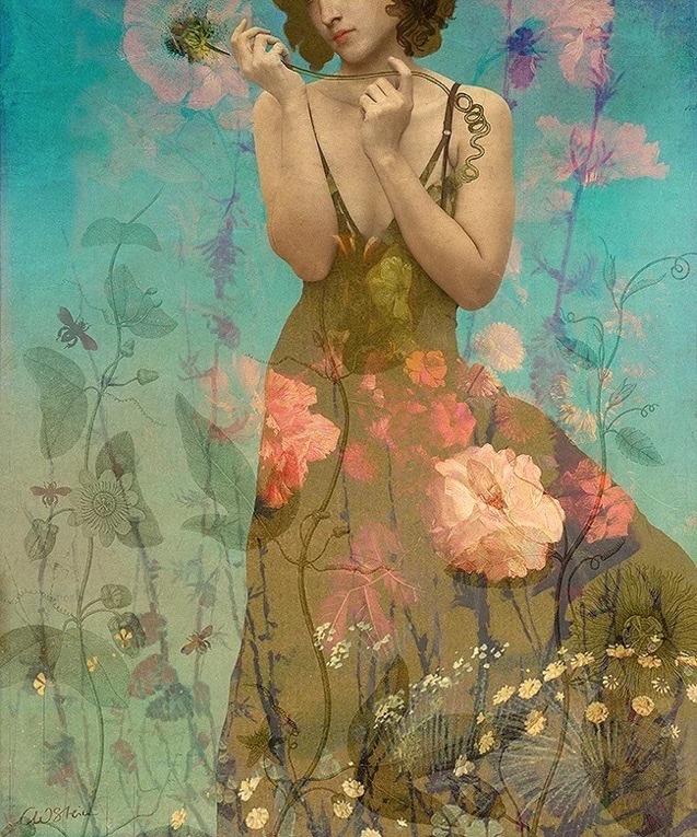 Catrin Welz Stein