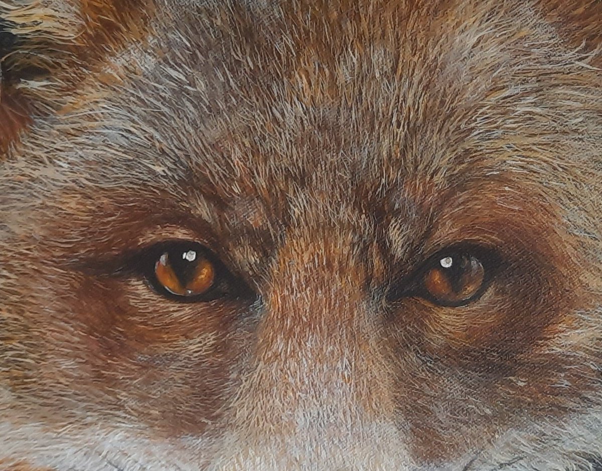 Good morning all. My fox painting is available from my Etsy shop. Acrylic on 12 inch round canvas. earthandsandbyanna.etsy.com/listing/170174… #UKGiftHour #UKGiftAM #MHHSBD #Art #SundayMorning