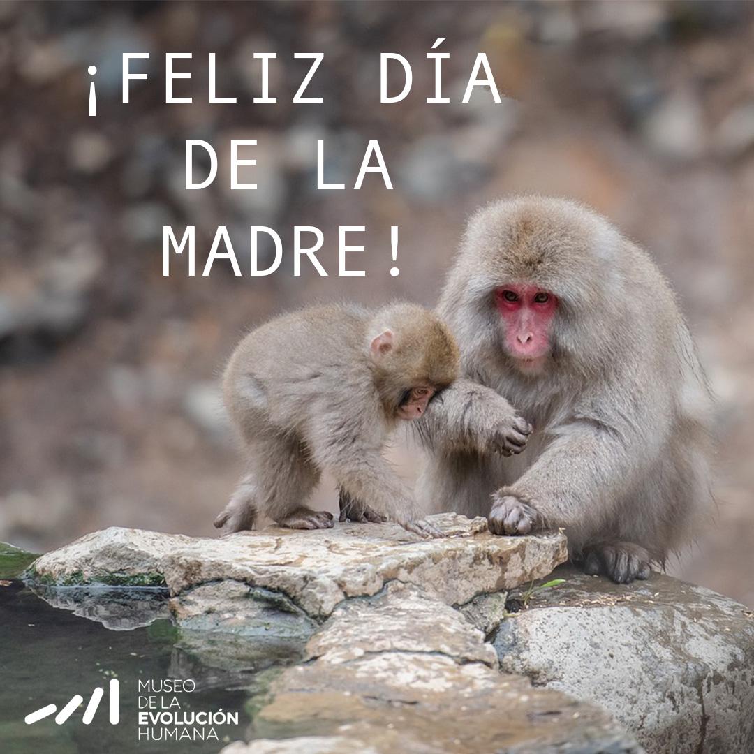 ¡Feliz Día de la Madre! 🤍 La fuerza de una madre es más grande que las leyes de la naturaleza. ¡Disfrutad mucho del día! 😊