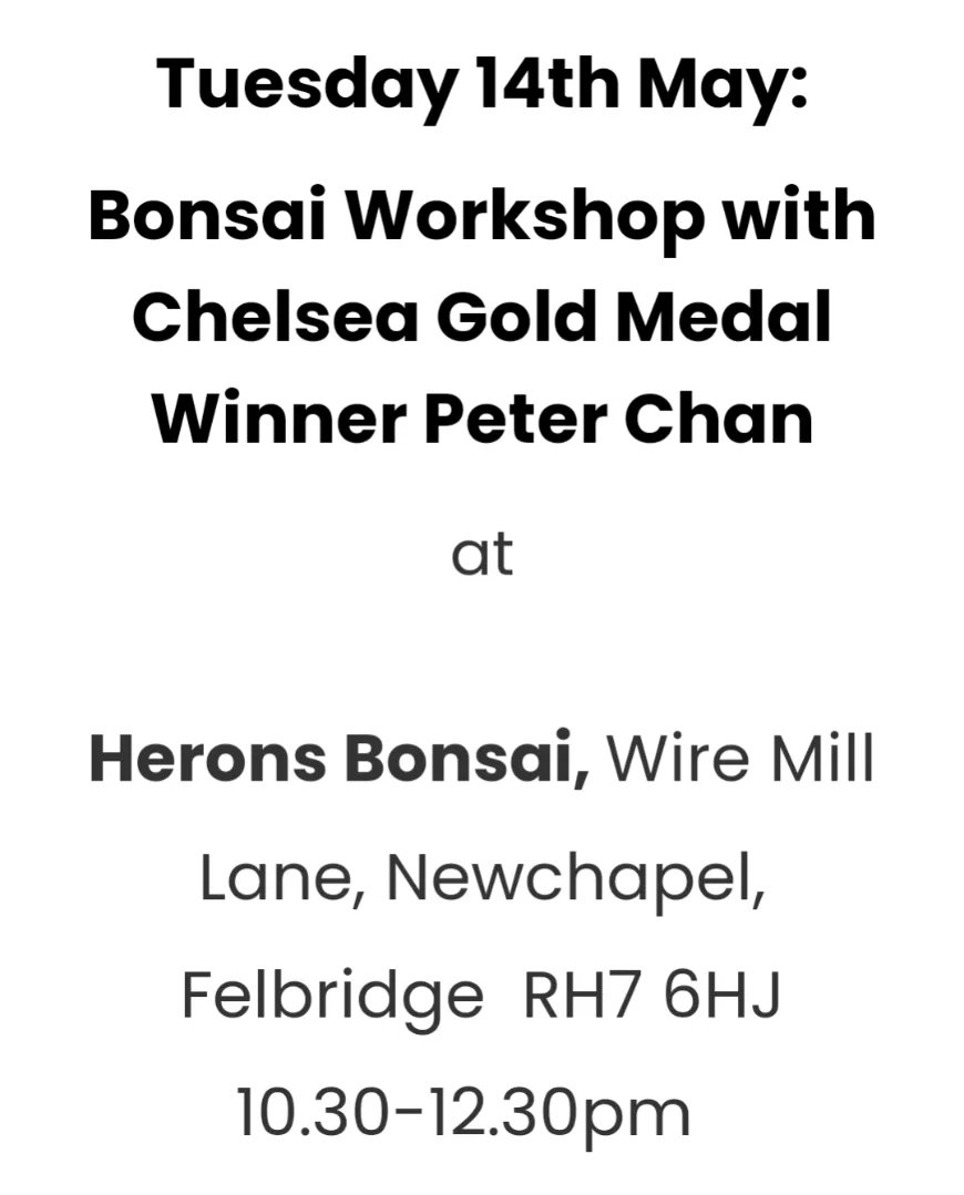 If you want to learn about the Beautiful Art of Bonsai, book your tickets now and join Peter Chan at his nursery to learn all about it.  
Visit our website today to find out more about this exciting day and book your tickets
gardeningwithdisabilitiestrust.org.uk/get-involved/o…
#fundraising #Chelsea #bonsai