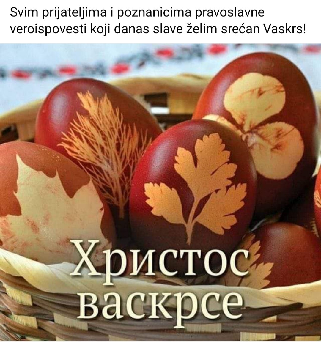 Nane (@zecicnaser) on Twitter photo 