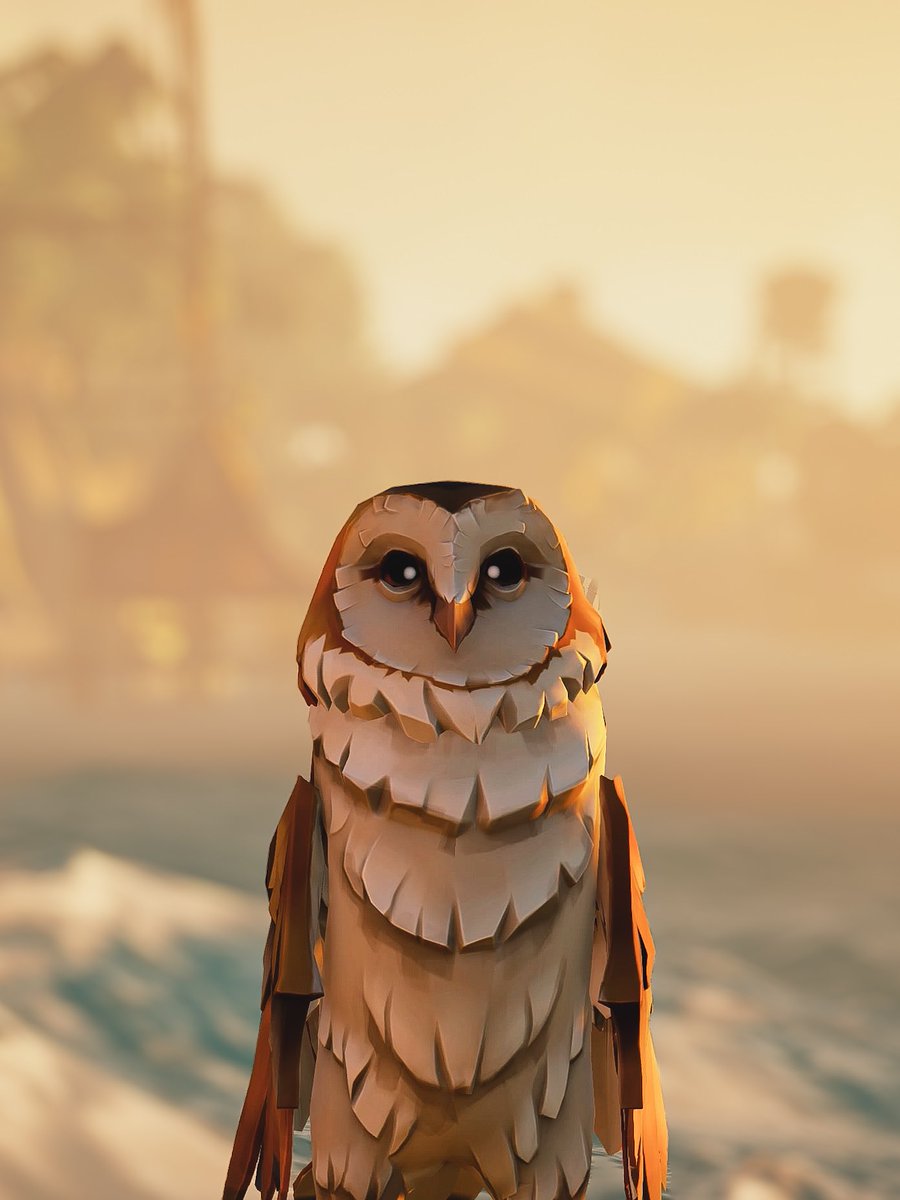 Just a owl 🦉 #SeaOfThieves