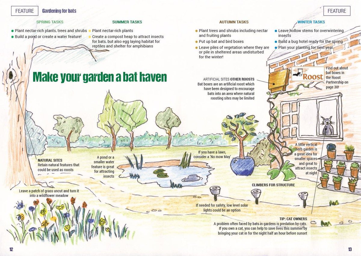 Gardens, whether in the city or the countryside, are increasingly vital bat habitats as their natural spaces are in decline. You can play a part in protecting these fascinating creatures, no matter the size of your garden buff.ly/2HkKSuq #NationalGardeningWeek