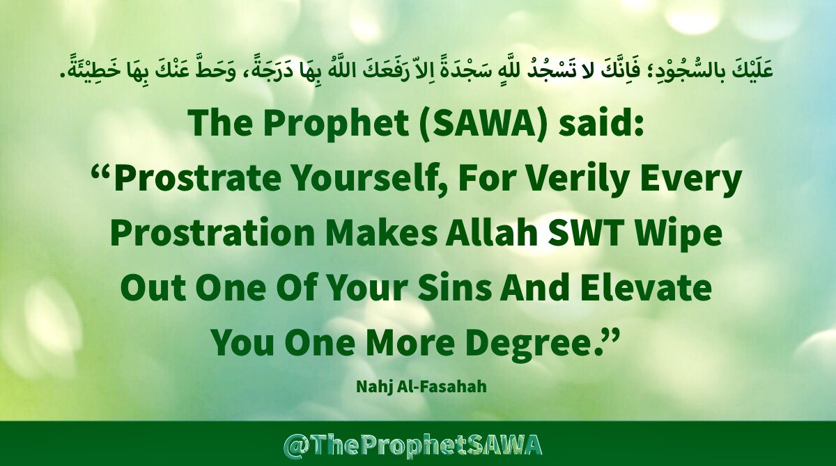 #HolyProphet (SAWA) said: “Prostrate Yourself, For Verily Every Prostration Makes Allah SWT Wipe Out One Of Your Sins And Elevate You One More Degree.” #ProphetMohammad #Rasulullah #ProphetMuhammad #AhlulBayt