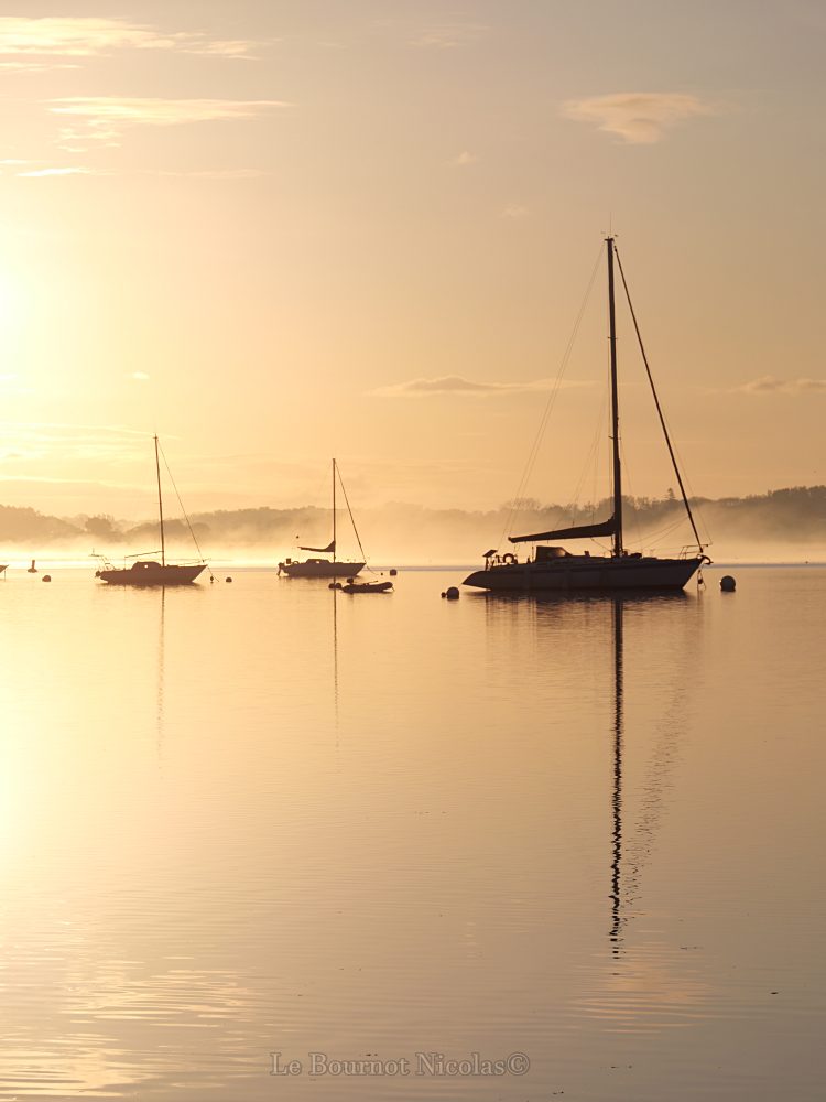 📷 Plouer sur Rance 04 / 05 / 2024
#PlouersurRance #cotesdarmor #Bretagne #MagnifiqueBretagne #MagnifiqueFrance #magnifiquecotesdarmor