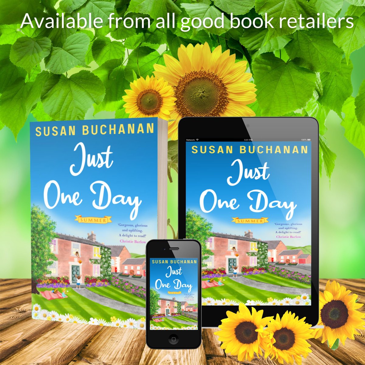 🌻'The village is completely believable and I love visiting it again with each new book.'🌻 JUST ONE DAY - SUMMER #ROMANCE #family #community #humour books2read.com/u/meXzzl