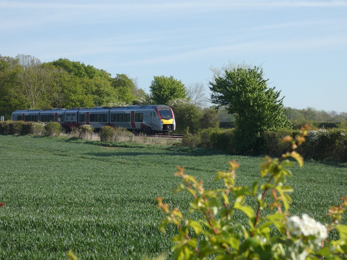 Peeking through the hedgerows, @greateranglia 755404 approaches Willow Marsh Crossing near Darsham on the 8.05am @EastSuffolkLine service from Lowestoft to Ipswich.