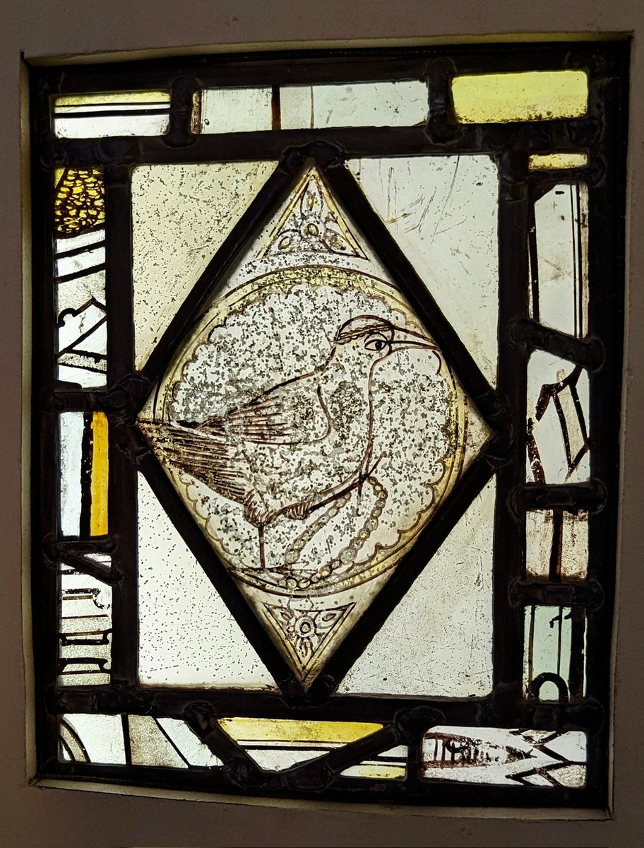 A 15thC bird getting ready for church at the  Stained glass Museum, Ely.  Carrying her rosary and looking smart, she'd better hurry!
#StainedGlassSunday