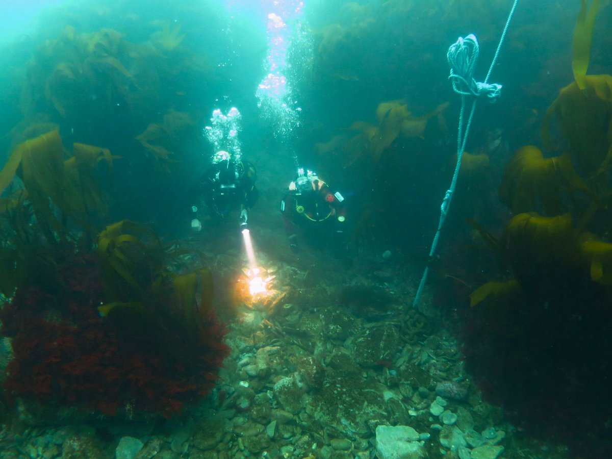 Thanks to the 🇮🇲 Sub Aqua Club, today we dived the 200 year old wreck of HM Brig of War #Racehorse off Langness. A brilliant experience to see the Island’s extraordinarily rich marine environment for the first time. @BSACdivers 👏@manxnature @MorrisLeigh 👍 @DiscoverDiving 🤿