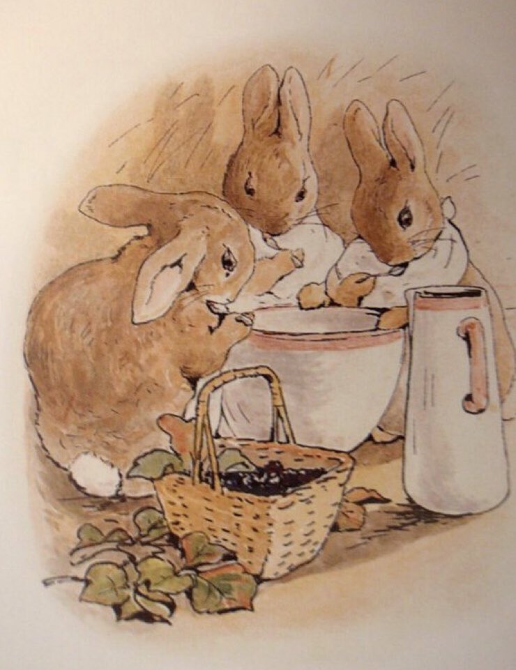 Flopsy, Mopsy and Cottontail had bread and milk and blackberries for supper. #BeatrixPotter #illustration, 1902 #FolkloreSunday