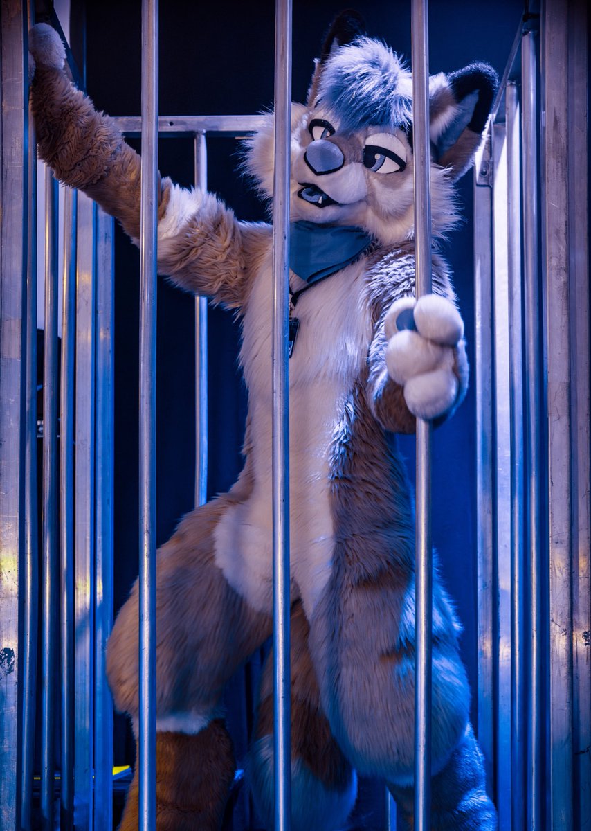 Would you let him out? 📸 @Nighti331