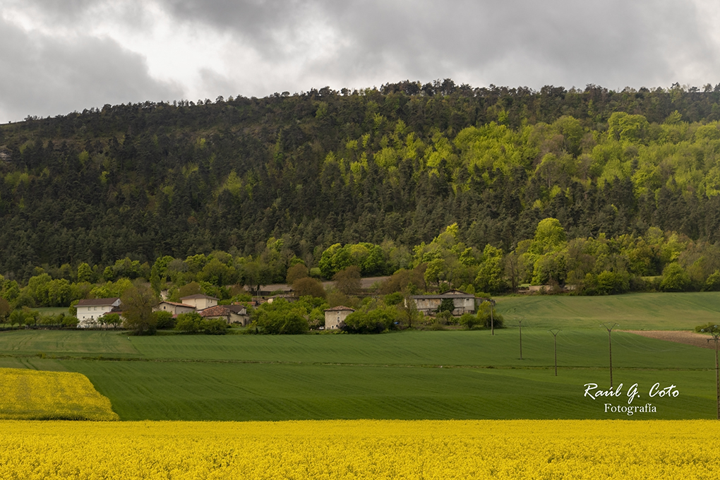 Villalambrús (Burgos) #travel #nature #tanwar #bhadana #poswal #burgos #españa #cylesvida #lasmerindades #love #photooftheday #photography #instagood #travelgram #travelphotography #beautiful #picoftheday #instagram #instatravel #travelblogger #wanderlust #losa #travelspain