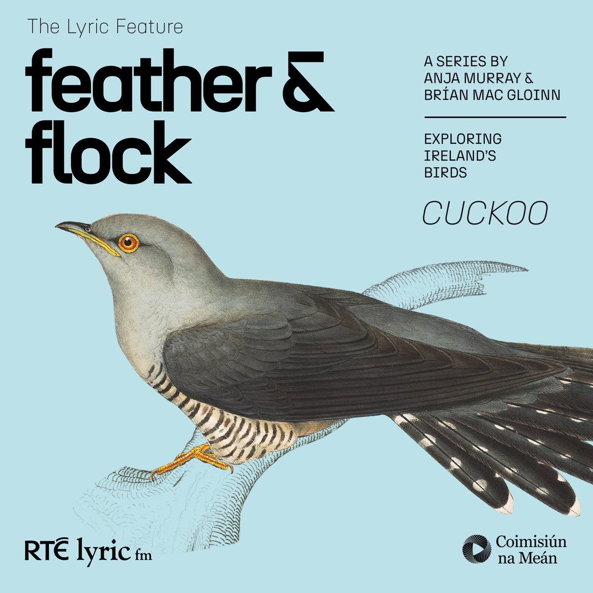 Just as cuckoos have begun calling out again over fields accross the country, our new series ‘Feather &amp; Flock’  begins. Episode1, Cuckoo, packed with gorgeous interviews &amp; serene singing

Sunday at 6pm <a href="/LyricFeature/">Eoin O Kelly</a>
(or wherever you get your podcasts)