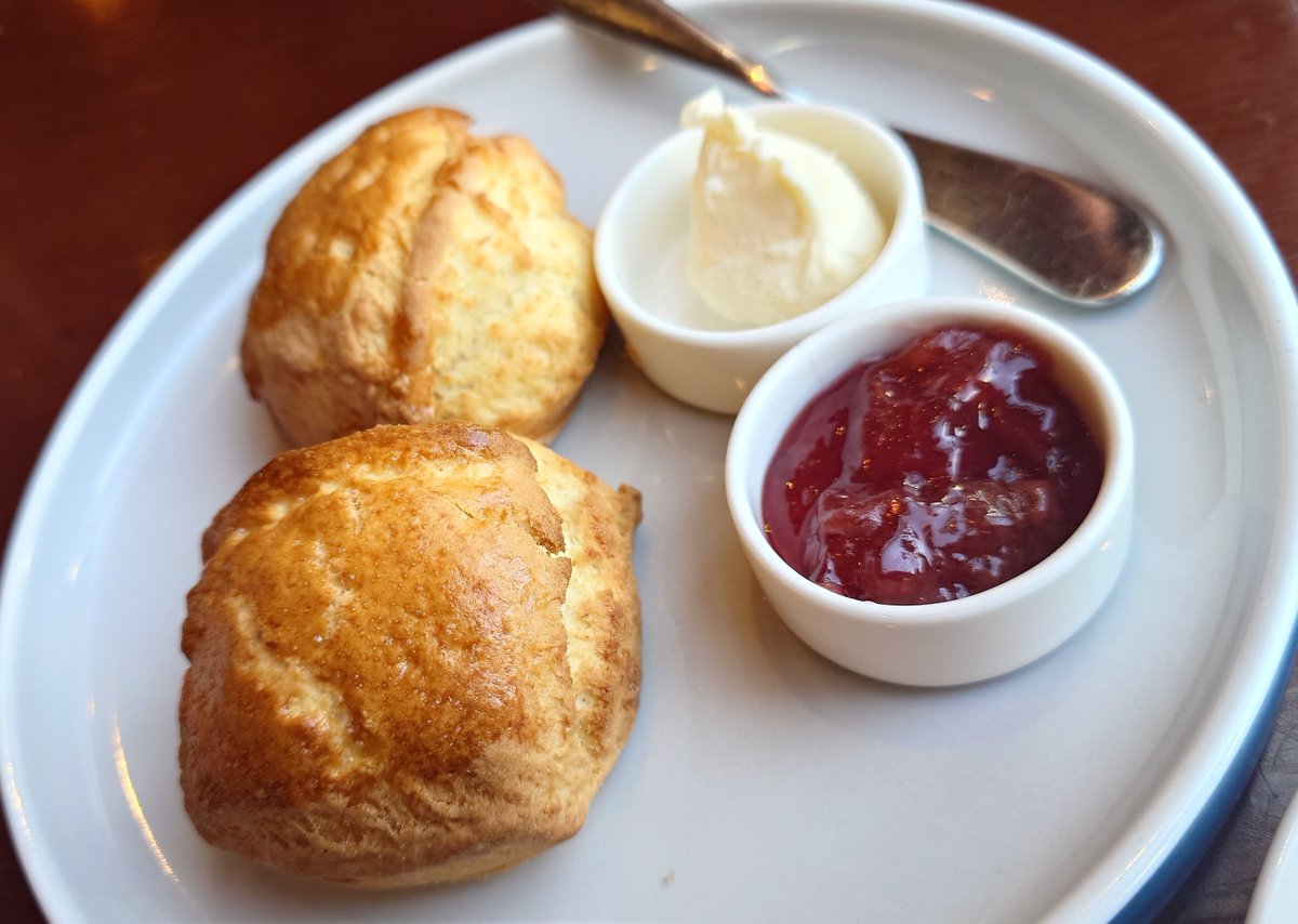 思想のジュース
と ごはん 