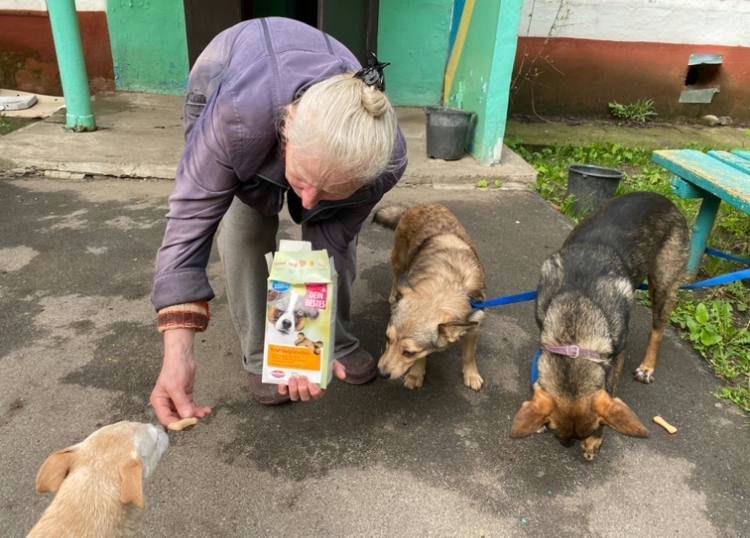 801st day of the full-scale invasion.

🐈 We sent 956 kilograms of pet food for 550 cats and 400 dogs in Kramatorsk, Donetsk. Olena Mykhailenko, who cares for animals evacuated from the war hotspots, requested assistance.