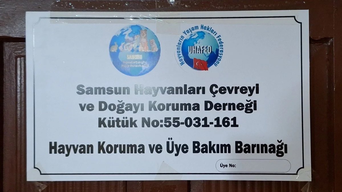 Samsun’da hayvan koruma derneği kurup horoz dövüştüren 3 kişi gözaltına alınmış. Bahis oynayan 26 kişiye de para cezası kesilmiş.