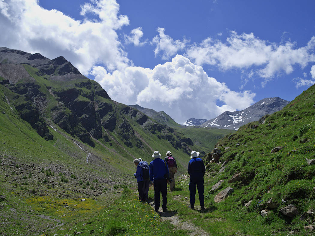 The Central Italian Alps tour (with Paul Cardy & Stefano Doglio) is now confirmed but places still available! From the 29thJune to the 7thJuly:greentours.co.uk/tour/central-i…