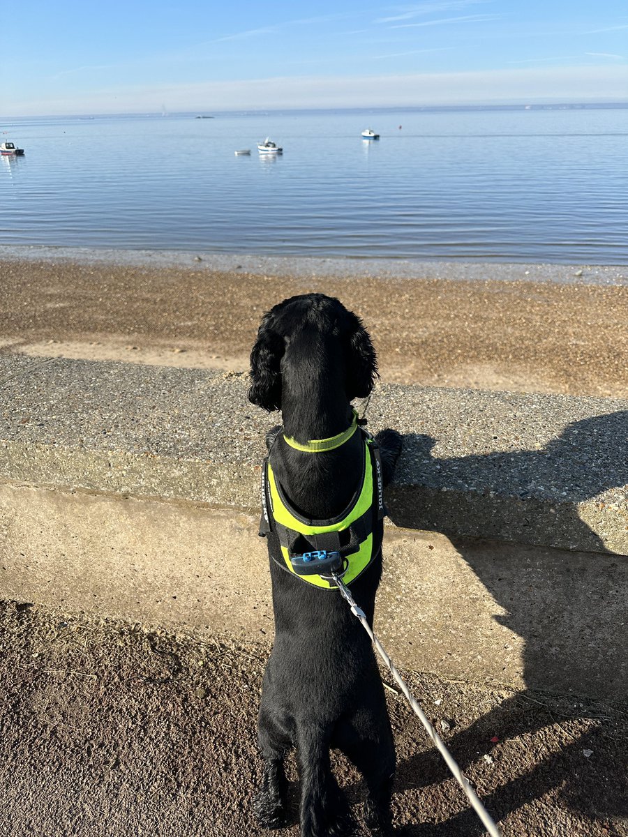 SNCRT ask all visitors to the City of Southend to heed local signage and bylaws and please removal your litter as impacts our local ecosystems.

Above all stay safe!

Picture taken this morning by one of our off duty Coastguard Officers.

Remember who to call #999Coastguard