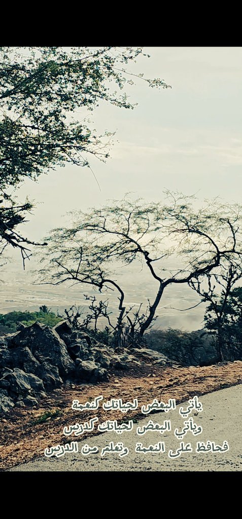 🇵🇸منى قطن 🇴🇲 (@vtubfsxb0aeyg0w) on Twitter photo 