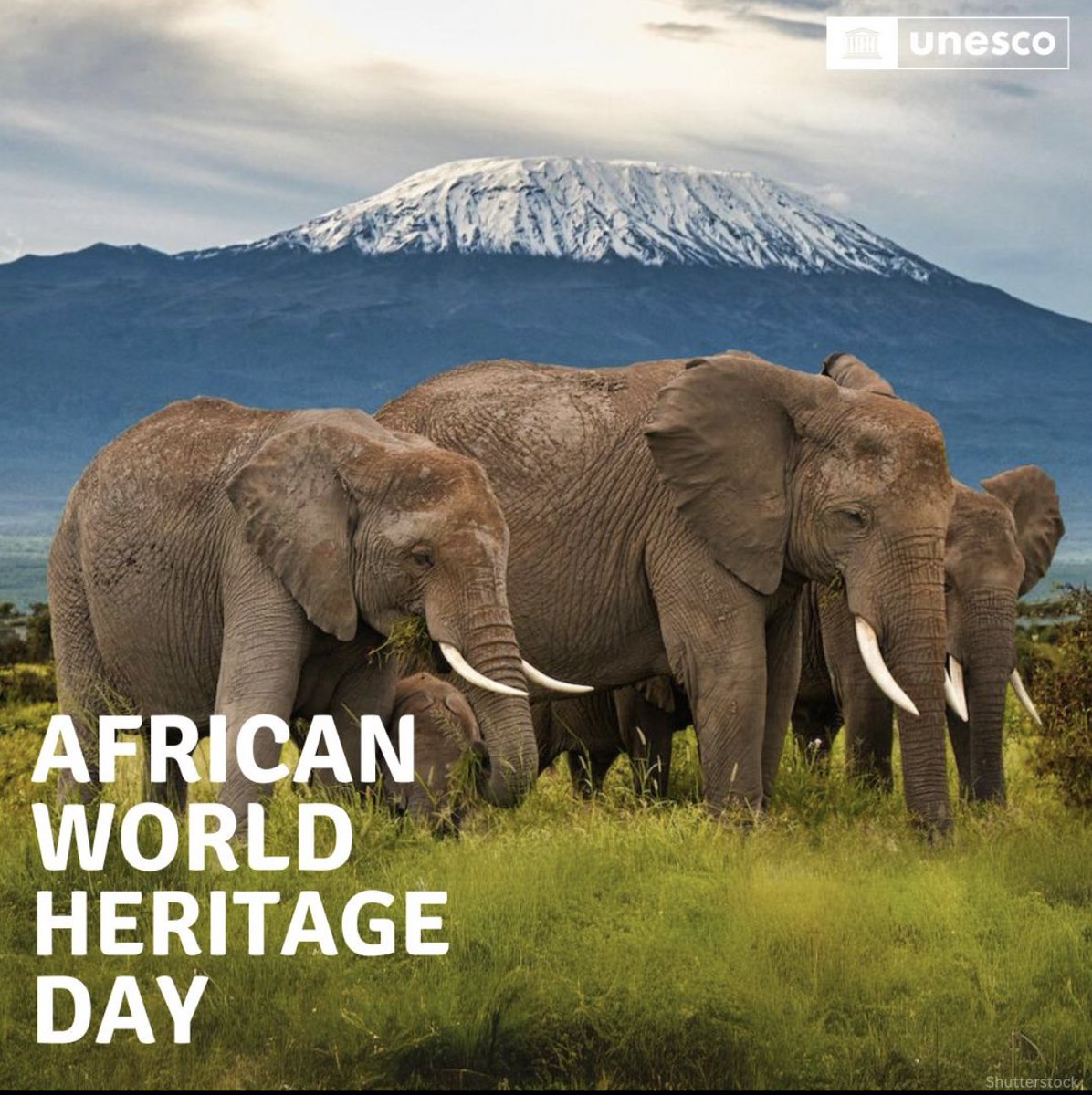 The future of our shared heritage includes the future of #WorldHeritage in #Africa! Today on #African World Heritage Day, learn more about #UNESCO ’s work to safeguard our irreplaceable heritage in Africa! Message from @AAzoulay 👇🏾 whc.unesco.org/en/news/2685/