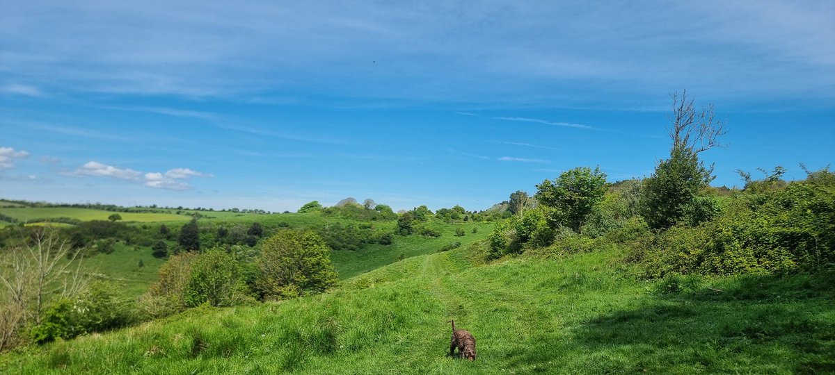 On the hills above Dover.